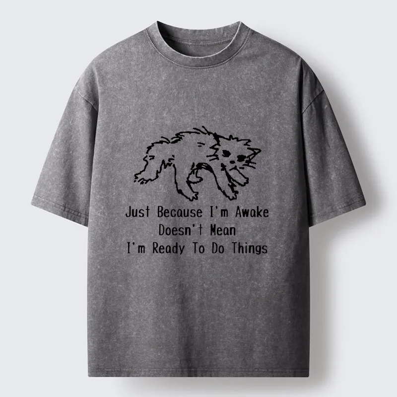 Tokyo-Tiger Chill Tired Cat Slow Lazy Life Art Washed T-Shirt