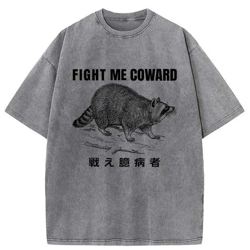 Tokyo-Tiger Fight Raccoon Japanese Washed T-Shirt