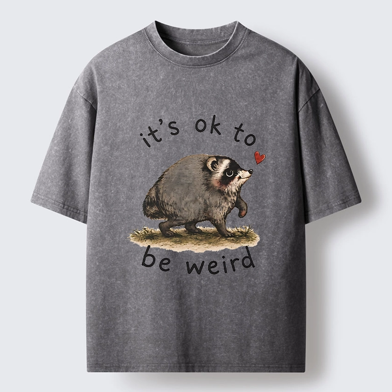 Tokyo-Tiger Jimothy Weird Raccoon Art Washed T-Shirt