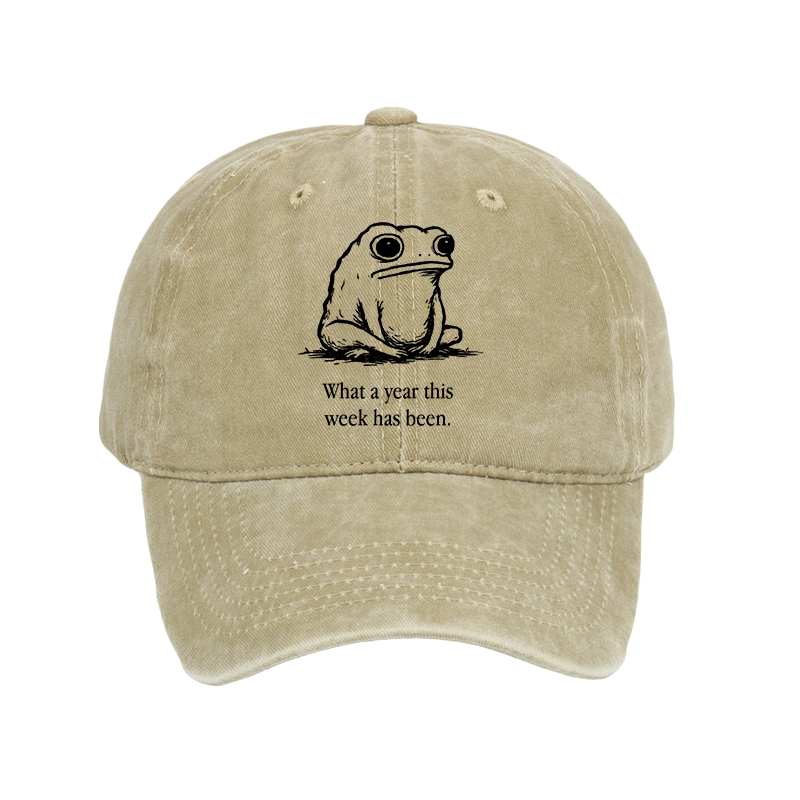 Tokyo-Tiger This Week Feels Like A Whole Year Washed Cap