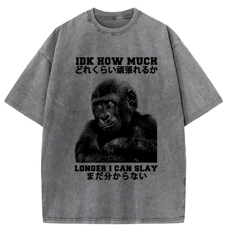 Tokyo-Tiger I Don't Know How Long I Can Slay Washed T-Shirt