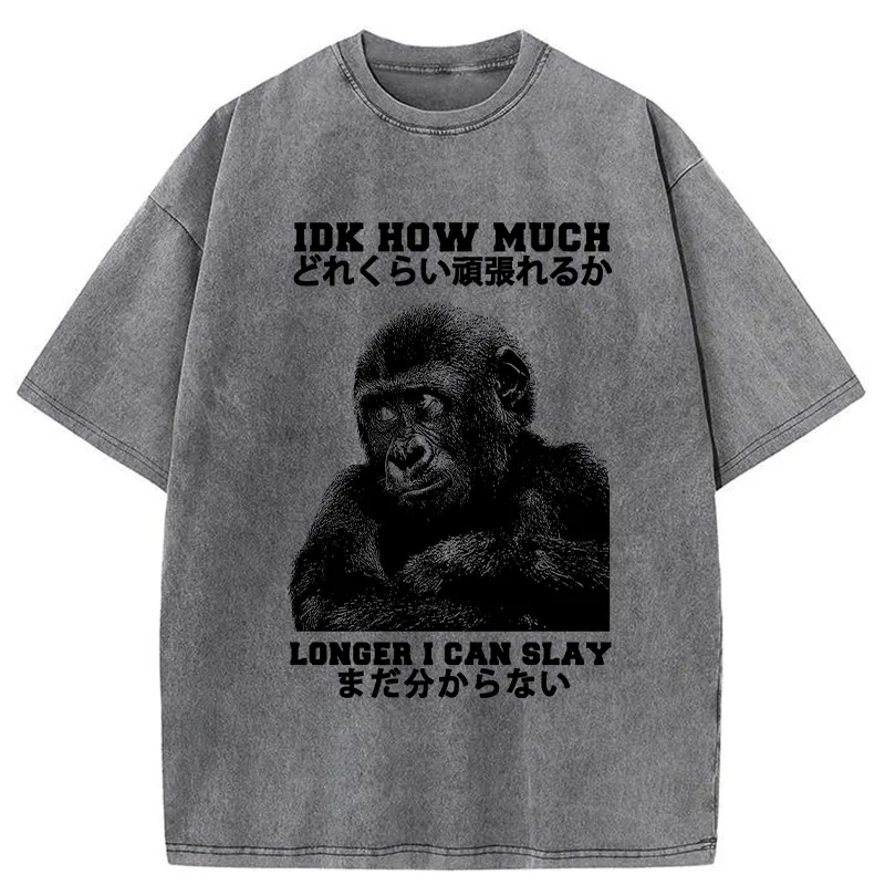 Tokyo-Tiger I Don't Know How Long I Can Slay Washed T-Shirt