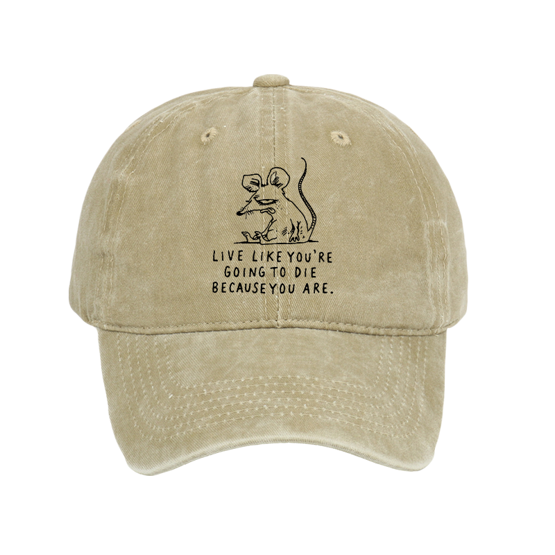 Tokyo-Tiger Funny Meme Sarcastic Rat Life Truth Washed Cap
