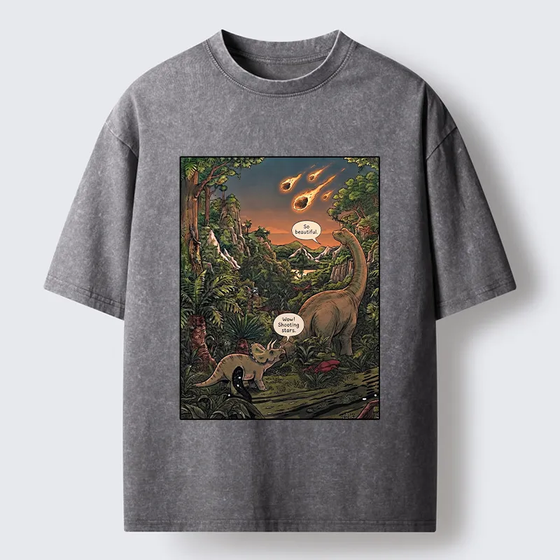 Tokyo‑Tiger Meteor Disaster Funny Washed T-Shirt