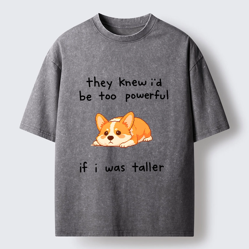 Tokyo-Tiger Funny Short Dog Joke Washed T-Shirt