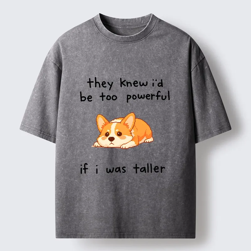 Tokyo-Tiger Funny Short Dog Joke Washed T-Shirt