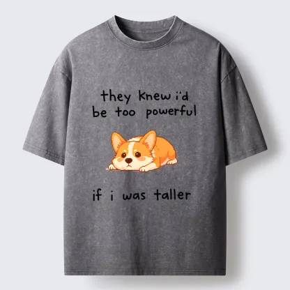 Tokyo-Tiger Funny Short Dog Joke Washed T-Shirt