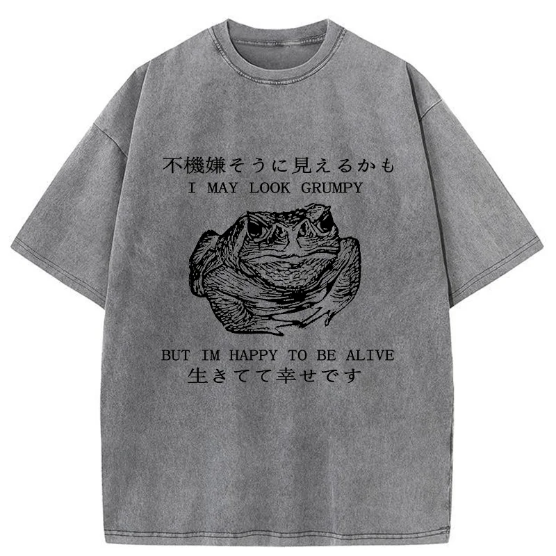 Tokyo-Tiger Emotionally Calm Frog Washed T-Shirt