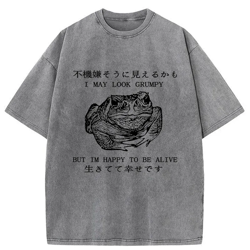 Tokyo-Tiger Emotionally Calm Frog Washed T-Shirt