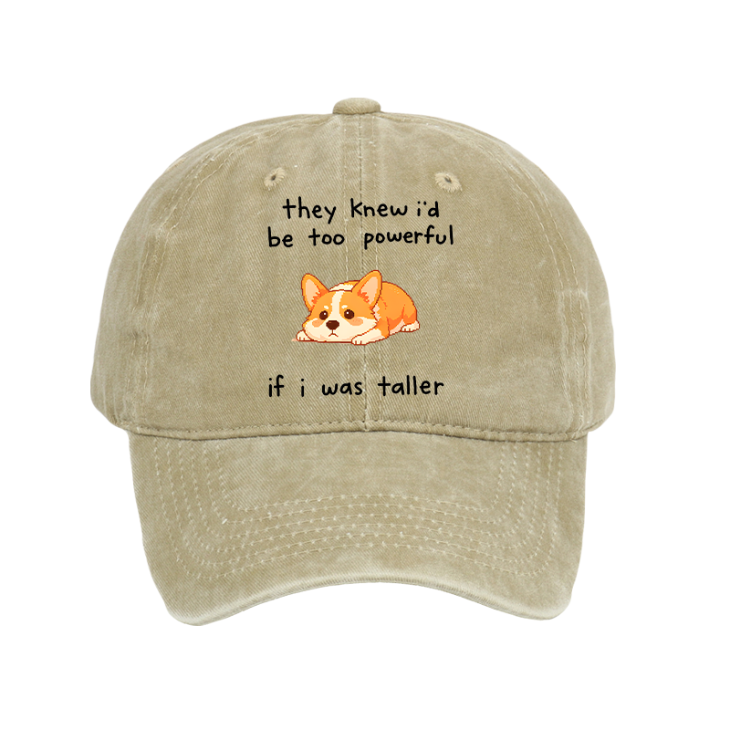 Tokyo-Tiger Funny Short Dog Joke Washed Cap