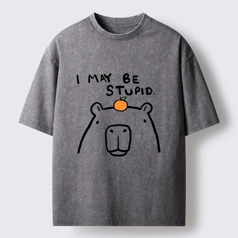 Tokyo‑Tiger Funny Capybara Orange Washed T‑Shirt