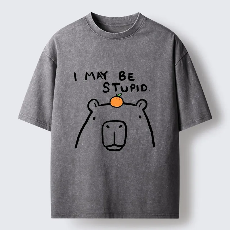 Tokyo‑Tiger Funny Capybara Orange Washed T‑Shirt