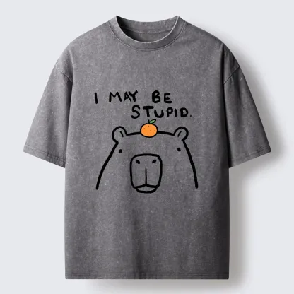 Tokyo‑Tiger Funny Capybara Orange Washed T‑Shirt