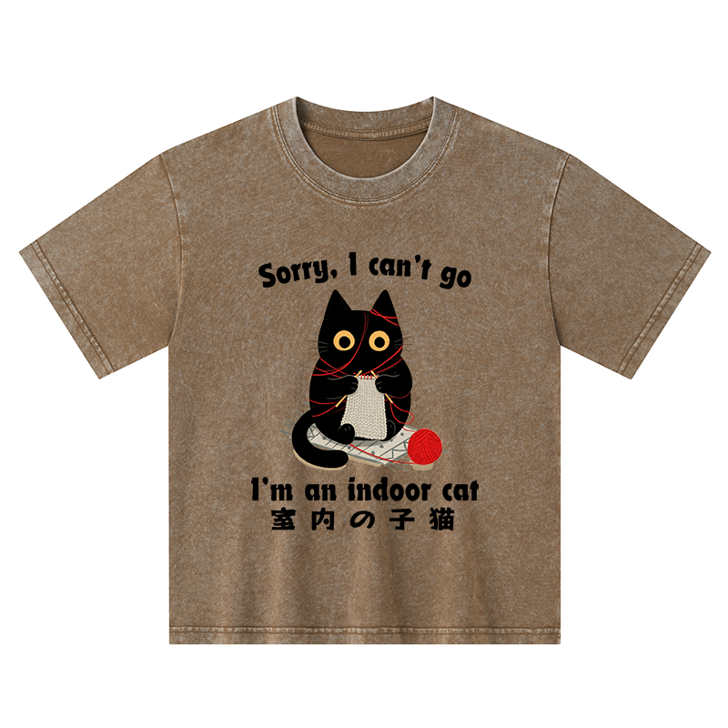 Tokyo-Tiger Indoor Cat Meme Kids Washed T-Shirt