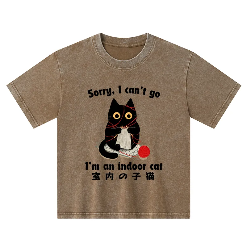 Tokyo-Tiger Indoor Cat Meme Kids Washed T-Shirt