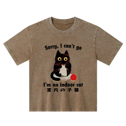 Tokyo-Tiger Indoor Cat Meme Kids Washed T-Shirt