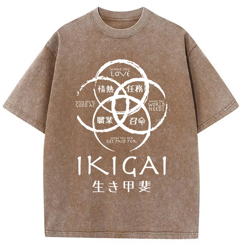 Tokyo-Tiger Life Meaning Japan Washed T-Shirt