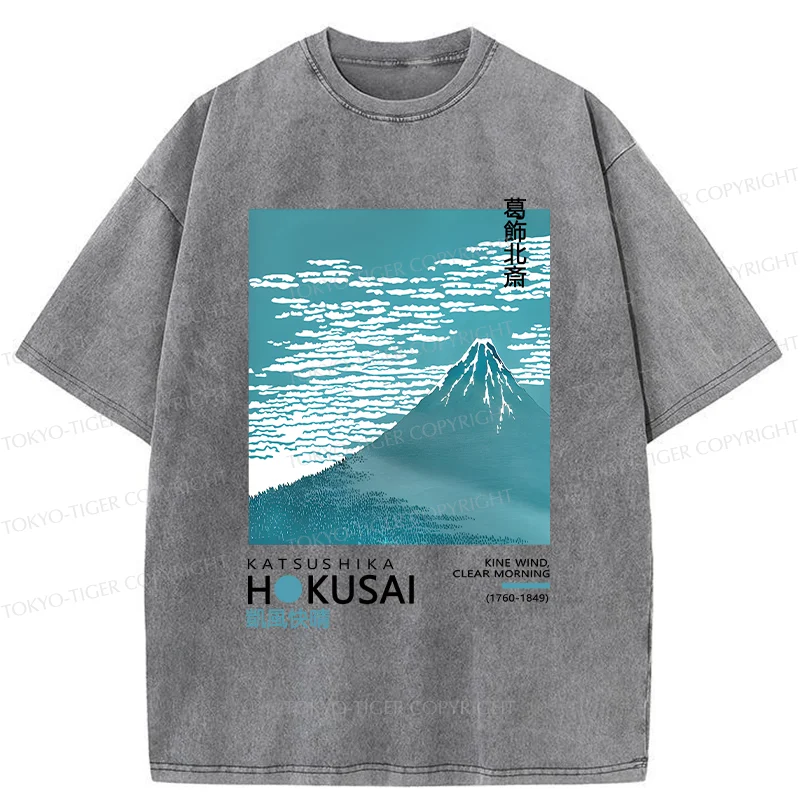 Tokyo-Tiger Retro Mount Fuji Washed T-Shirt