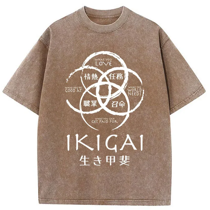 Tokyo-Tiger Life Meaning Japan Washed T-Shirt