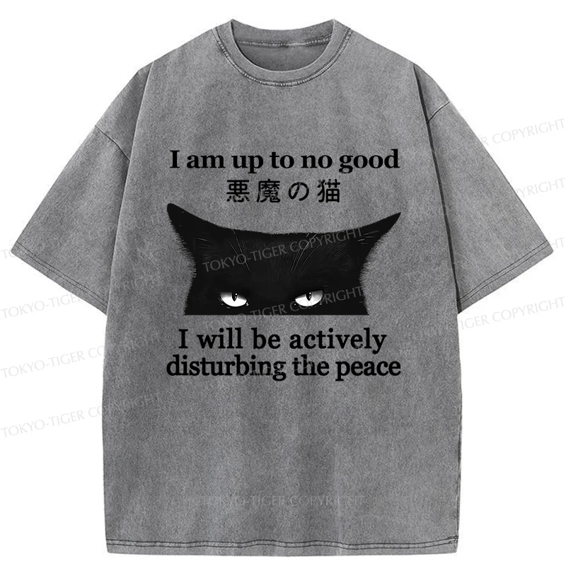 Tokyo-Tiger Cat Disturbing The Peace Washed T-Shirt