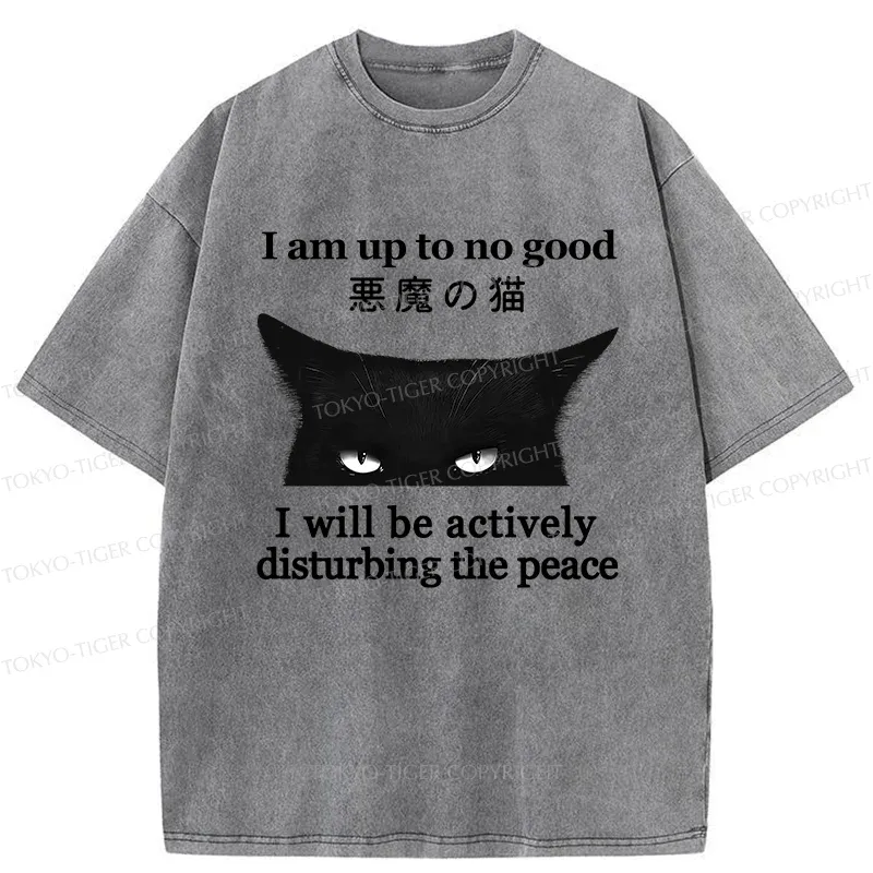 Tokyo-Tiger Cat Disturbing The Peace Washed T-Shirt