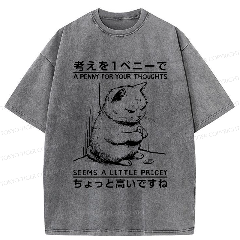 Tokyo-Tiger A Penny For Your Thoughts Washed T-Shirt