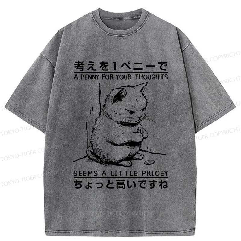 Tokyo-Tiger A Penny For Your Thoughts Washed T-Shirt