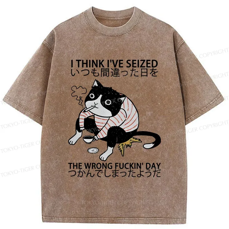 Tokyo-Tiger Decadent Cat Funny Washed T-Shirt