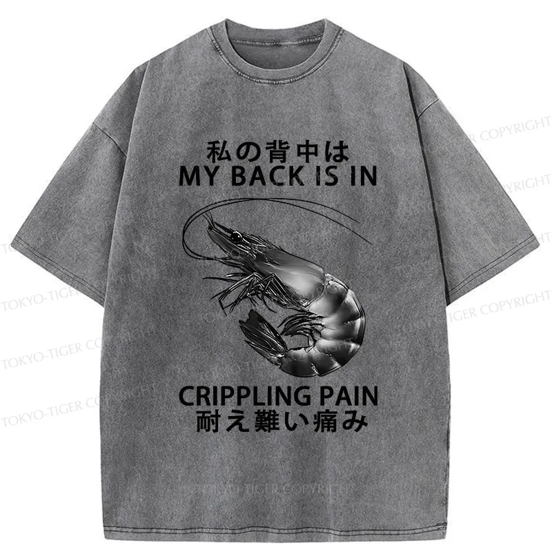Tokyo-Tiger My Back Is In Crippling Pain Washed T-Shirt