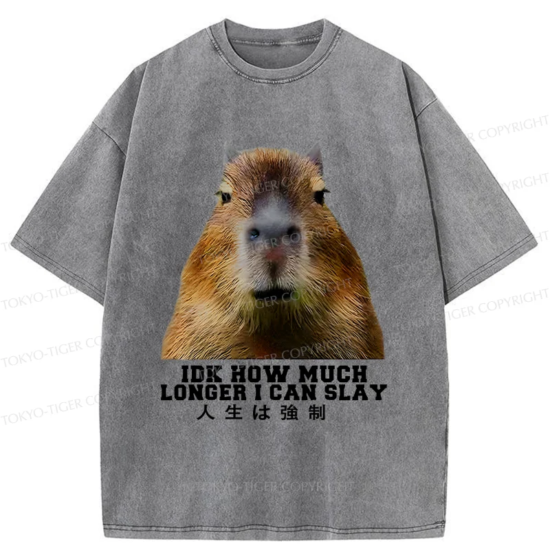 Tokyo-Tiger Life Is Forced Washed T-Shirt