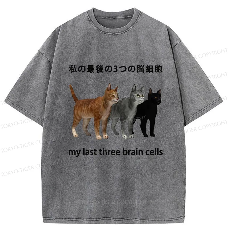 Tokyo-Tiger My Last Three Brain Cells Washed T-Shirt