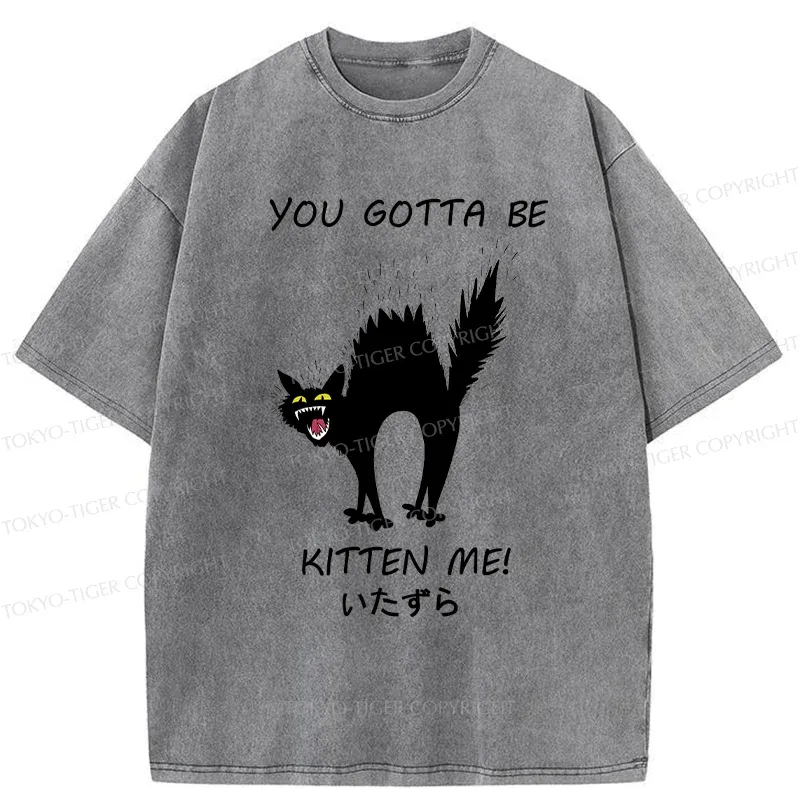 Tokyo-Tiger Cat Being Teased Washed T-Shirt