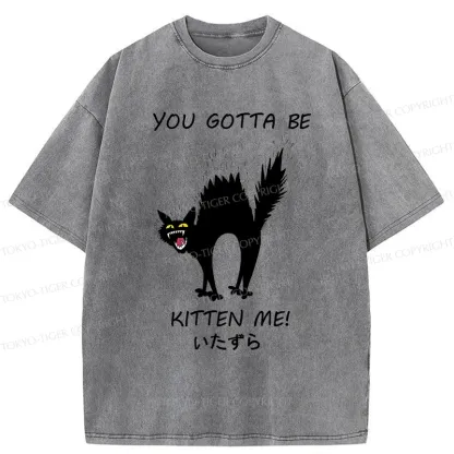 Tokyo-Tiger Cat Being Teased Washed T-Shirt