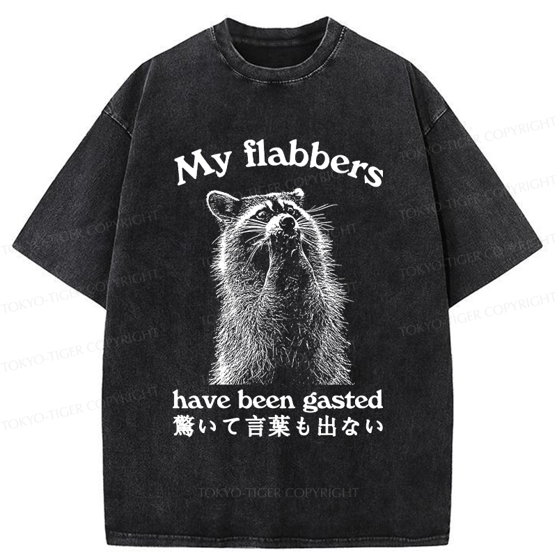 Tokyo-Tiger My Flabbers Have Been Gasted Washed T-Shirt