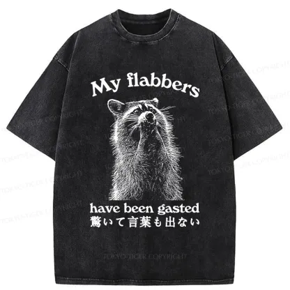 Tokyo-Tiger My Flabbers Have Been Gasted Washed T-Shirt