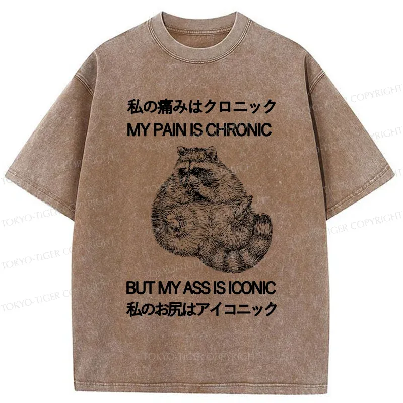 Tokyo-Tiger Raccoon Assis Iconic Washed T-Shirt