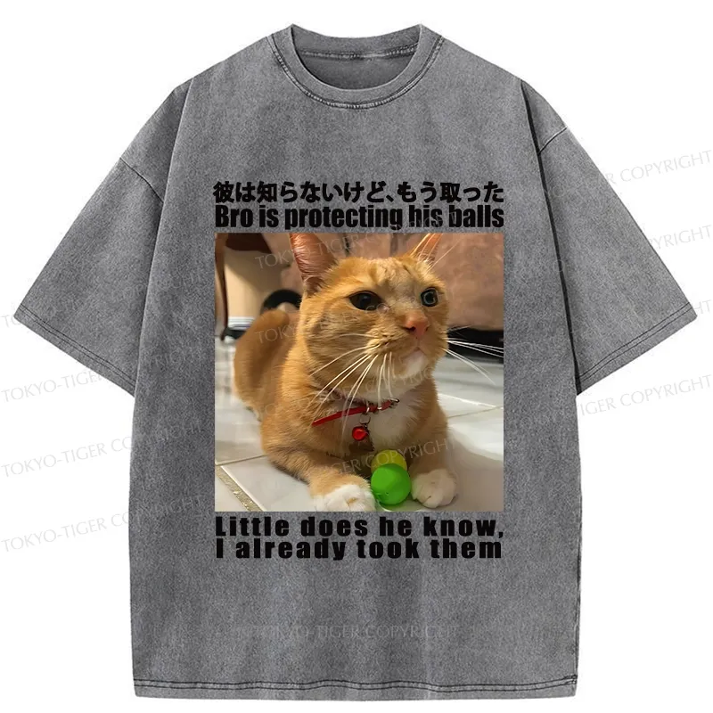 Tokyo-Tiger Bro Is Protecting His Balls Washed T-Shirt Sale