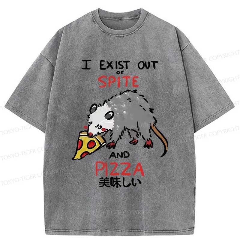 Tokyo-Tiger Delicious Pizza Japan Washed T-Shirt