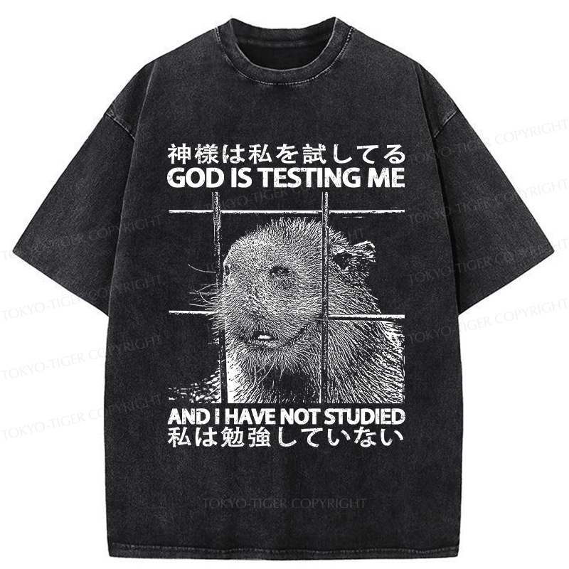 Tokyo-Tiger God Is Testing Me Washed T-Shirt