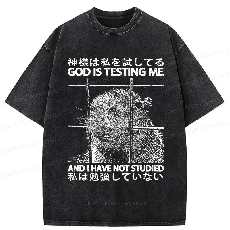 Tokyo-Tiger God Is Testing Me Washed T-Shirt Sale