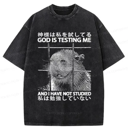 Tokyo-Tiger God Is Testing Me Washed T-Shirt