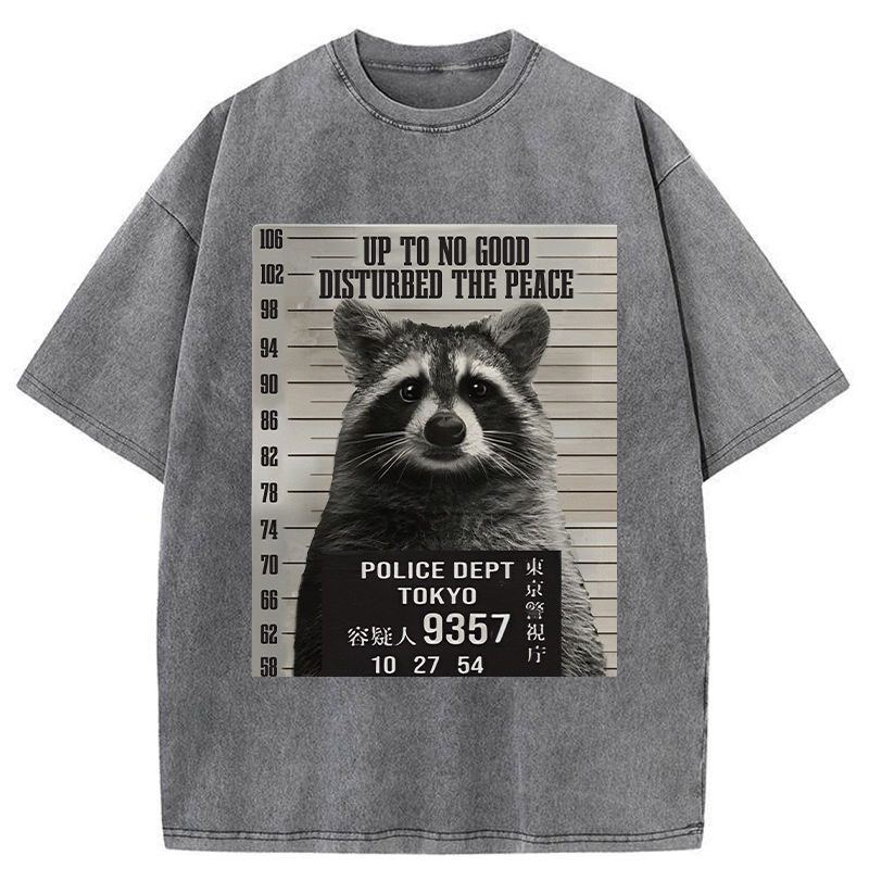 Tokyo-Tiger Arrested Raccoon Washed T-Shirt