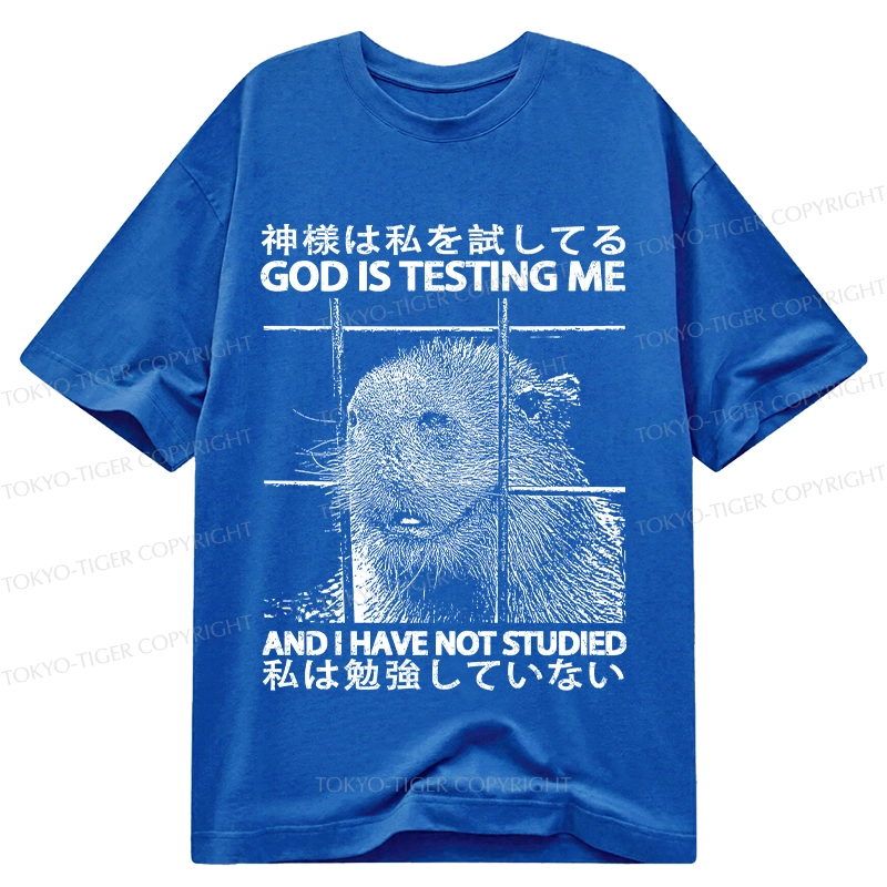 Tokyo-Tiger God Is Testing Me Classic T-Shirt