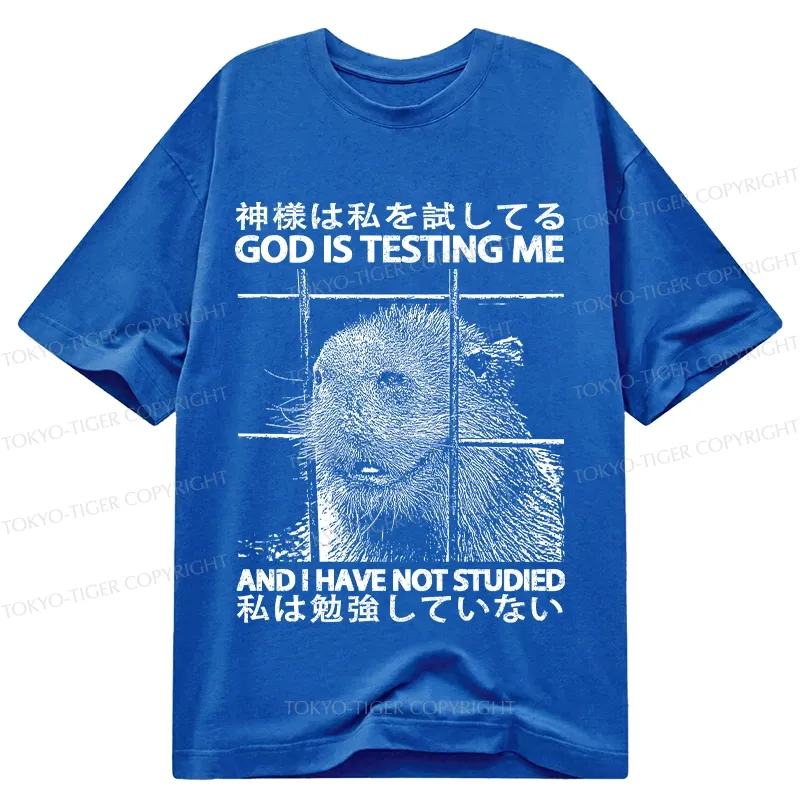 Tokyo-Tiger God Is Testing Me Classic T-Shirt
