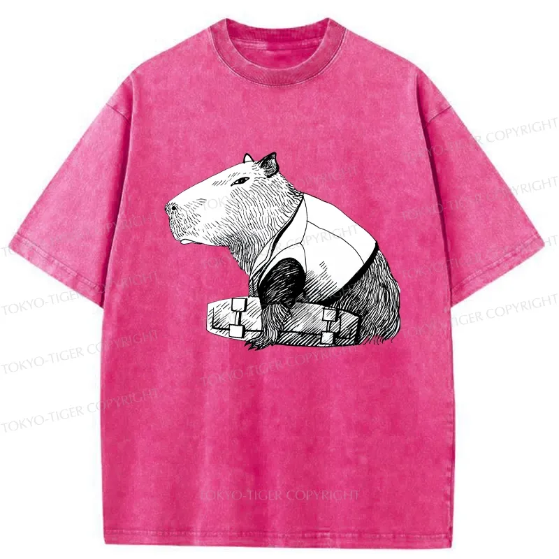 Tokyo-Tiger Funny Capybara Skateboard Washed T-Shirt