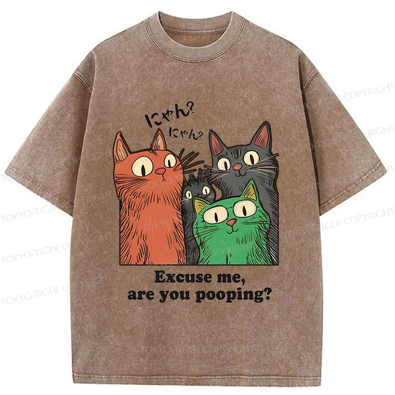 Tokyo-Tiger Cats Watching Poop Washed T-Shirt