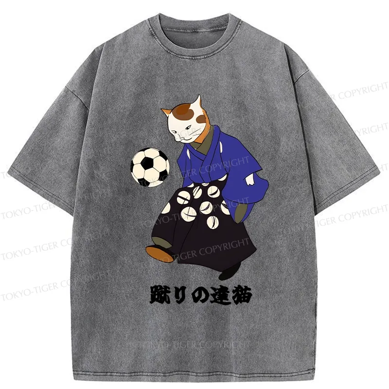 Tokyo-Tiger Cat Playing Football Washed T-Shirt