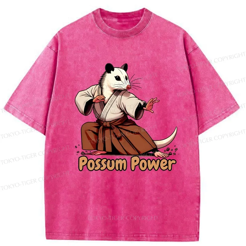 Tokyo-Tiger Possum Power Washed T-Shirt