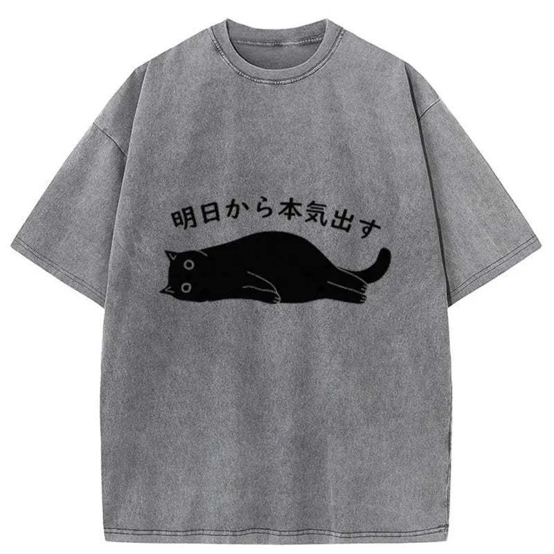 Tokyo-Tiger I'm Going To Get Serious Tomorrow Washed T-Shirt Sale