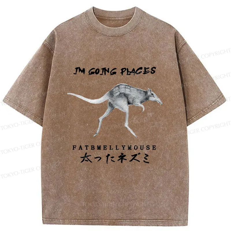 Tokyo-Tiger Long-Legged Mouse Washed T-Shirt